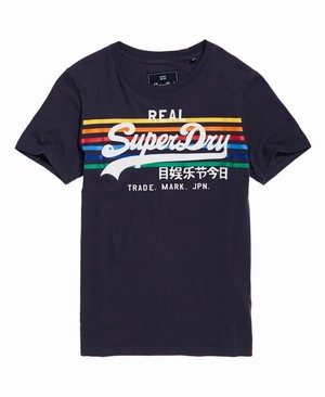 Superdry Vintage Logo Rodeo Rainbow Stripe Női Pólók Sötétkék | HDEVN1236